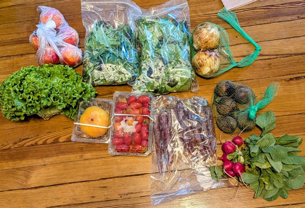 Week 14 CSA share, a little late because I had to go into the office today. Asian mixed greens, tomatoes, lettuce, nectarines, radishes, carrots, beets, onions. Eggs not pictured.