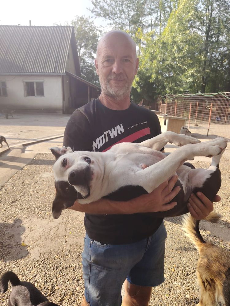 Milan schaut lächelnd in die Kamera. In seinen Armen hält er die lächelnde Staffordhündin. Sie liegt auf dem Rücken und schaut in die Kamera.