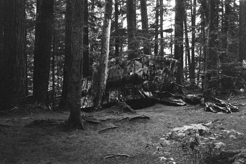 Railcar from the wreck sitting surrounded by tall, sparse trees. Ilford HP5+ at 1600 ISO, XT-3 1+1