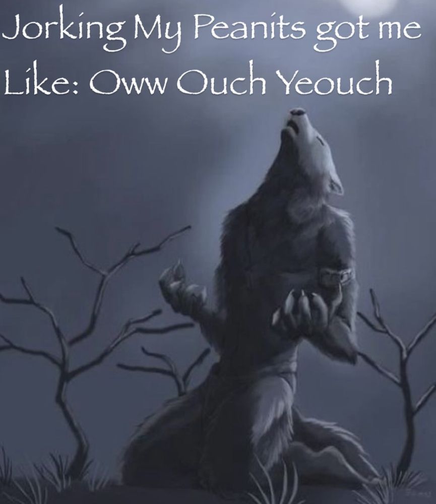 a wolf howling in a grey night on his knees with his hands up. the text says ‘joe king my peanits got me like: oww ouch yeouch’