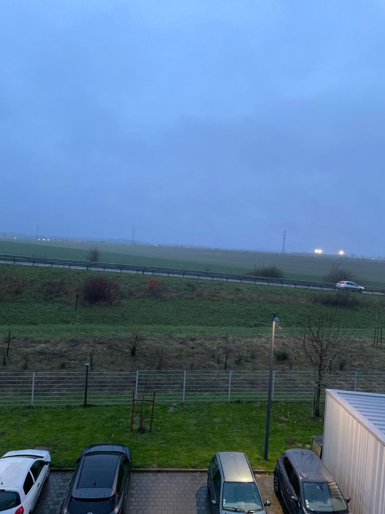 Foggy evening picture of a country side.