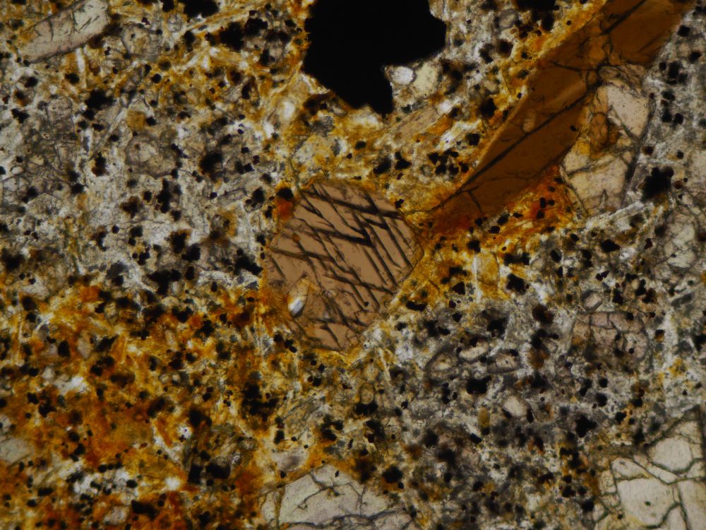 parallel polarized light image of two large titanite crystals in a groundmass of alterated brownish ad grey minerals.
One titanitw shows 120° cleavages throughout its mineral body