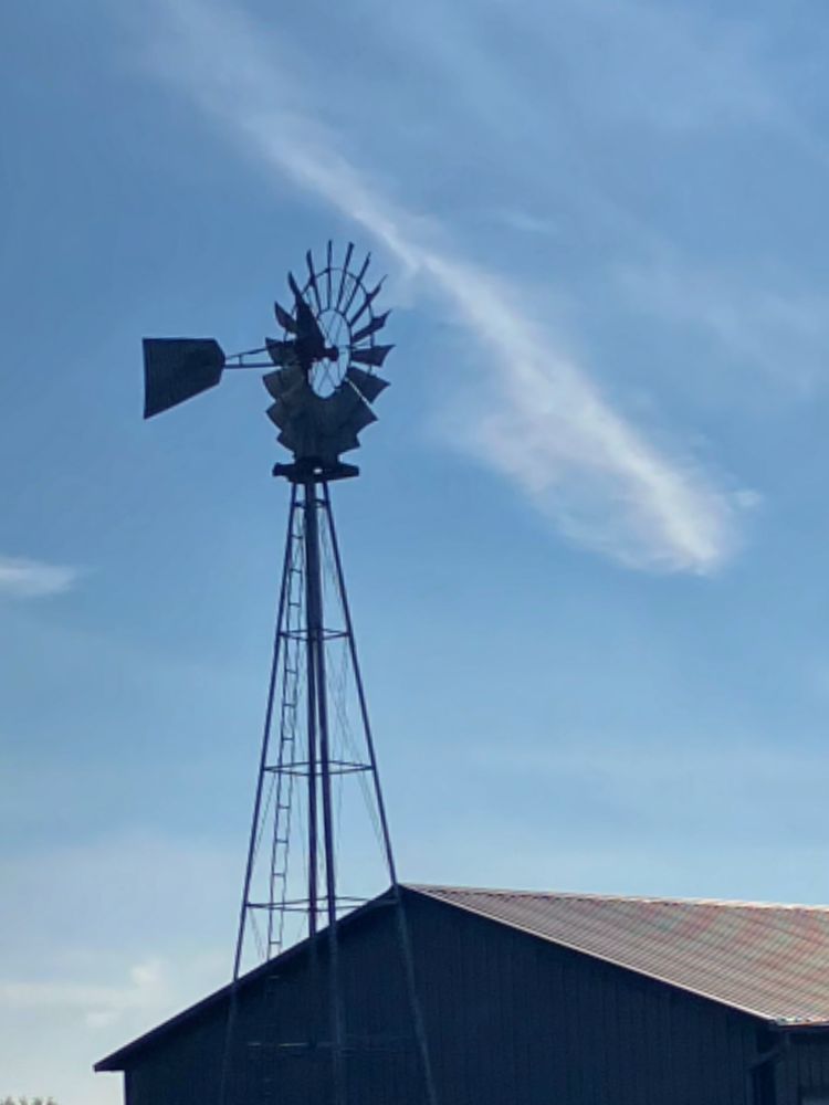 spotted this on my morning bike ride