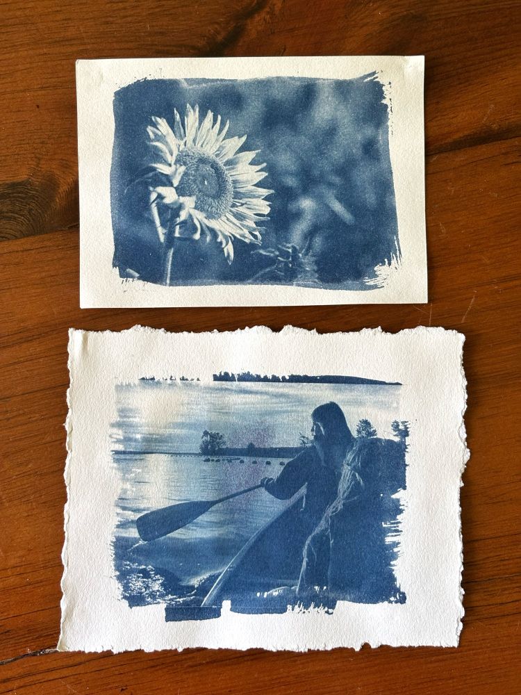 Two blue and white cyanotype prints, one of a sunflower and the other of two kids paddling a canoe in still water