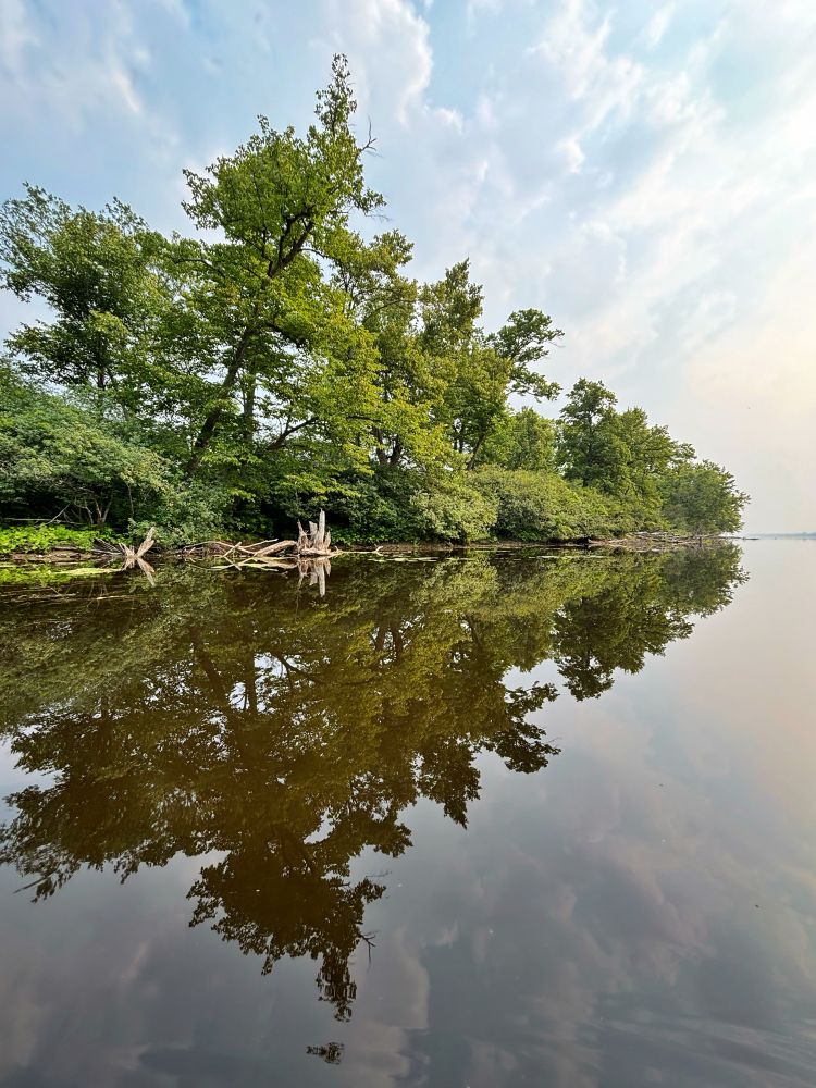 The end of Upper Duck Island, with green trees, is reflected in still water with hints of clouds in the sky and reflection. 