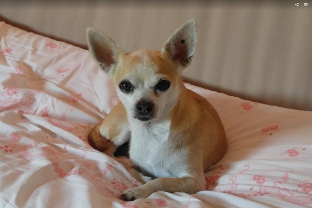 Nekecej, já jsme na BlueSky?