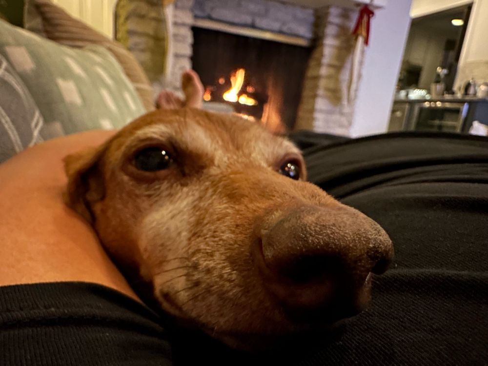 mughunmoHtaH qovIj qerjIq je