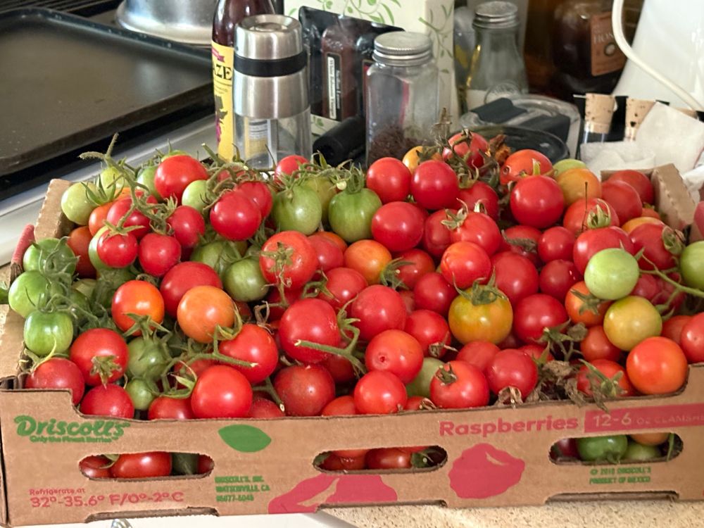 This is one of three I collected. 