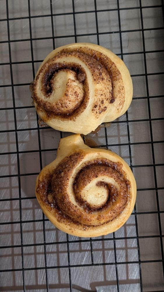 Two cinnamon rolls on a wire rack from above