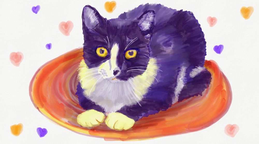 cat on rug