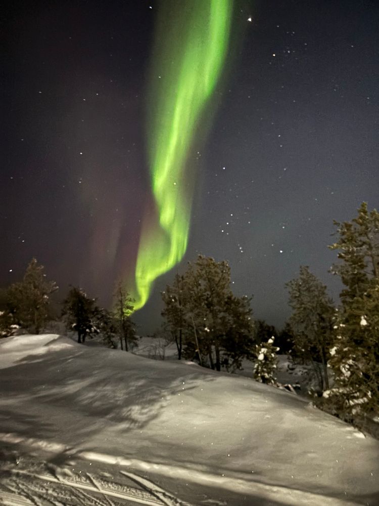 Northern lights over the ski trails in Yellowknife 