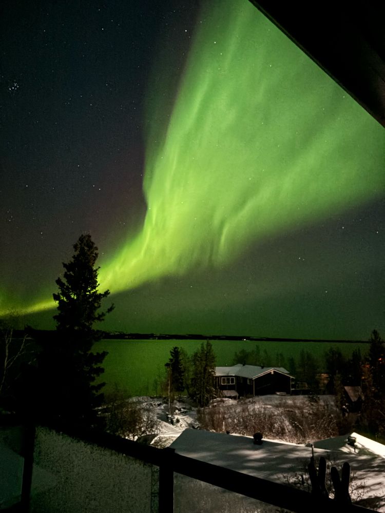 The northern lights shimmer above my winter street