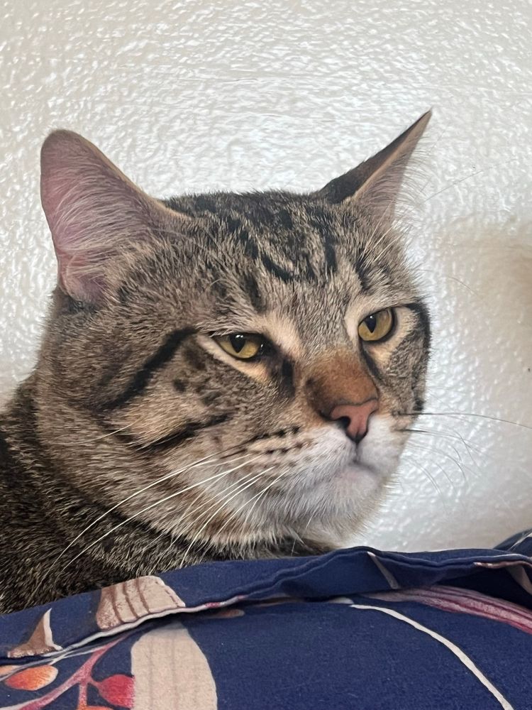 Close up on his face