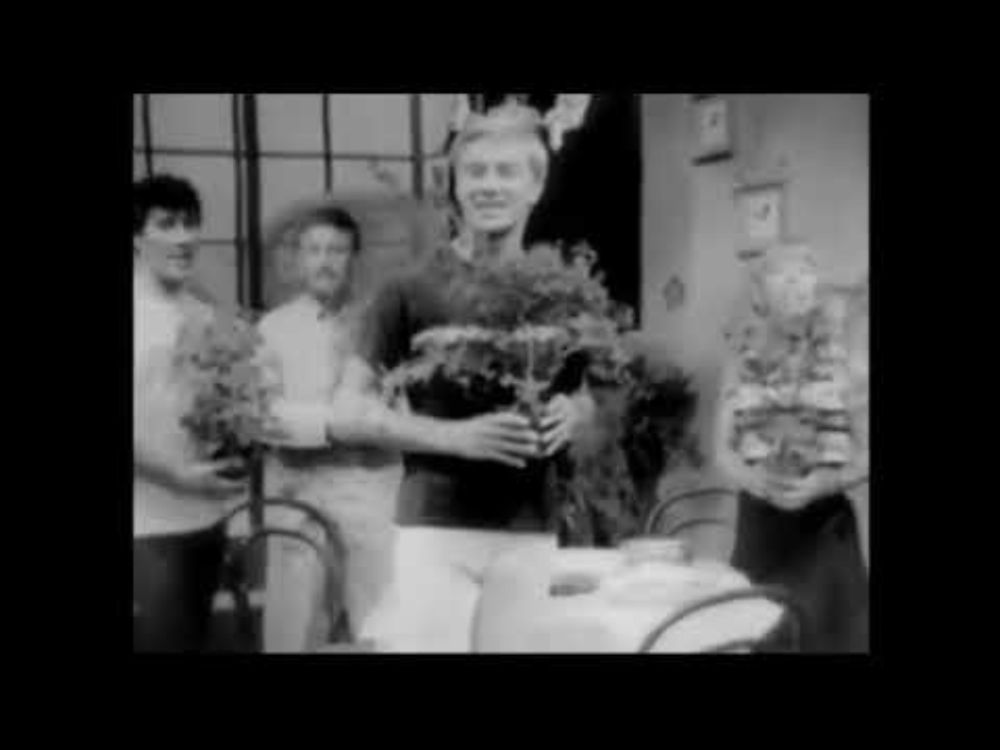 Wil u een stekkie (van de fuchsia)? (Ja zuster Nee zuster1967) Gerestaureerd geluid!