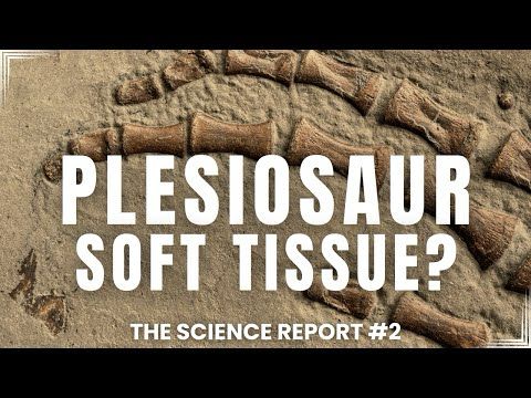 Science News | Plesiosaur Soft Tissue, Yellowstone Wolves, Fruit Fly Thoughts & Noodle Dunkin' Birds