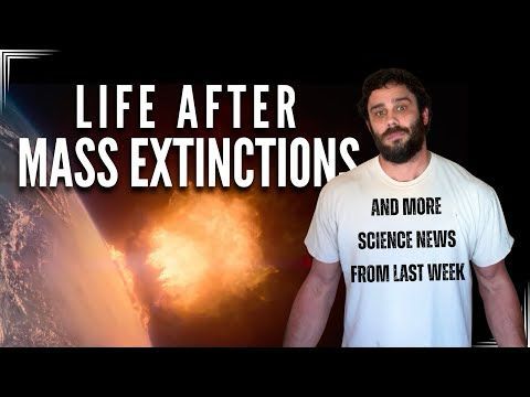 New Discoveries | Life After Mass Extinctions with Zeke Darwin