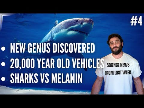 NEW DISCOVERIES: 20,000 Year Old Vehicles, a BIG plant discovery, and Sharks vs Melanin