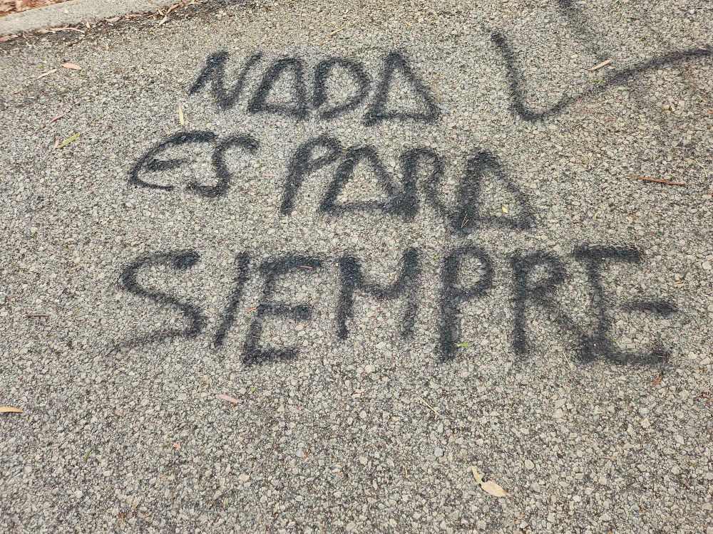 Graffiti spotted on the path during my morning hike reads "Nada Es Para Siempre" (nothing is forever)