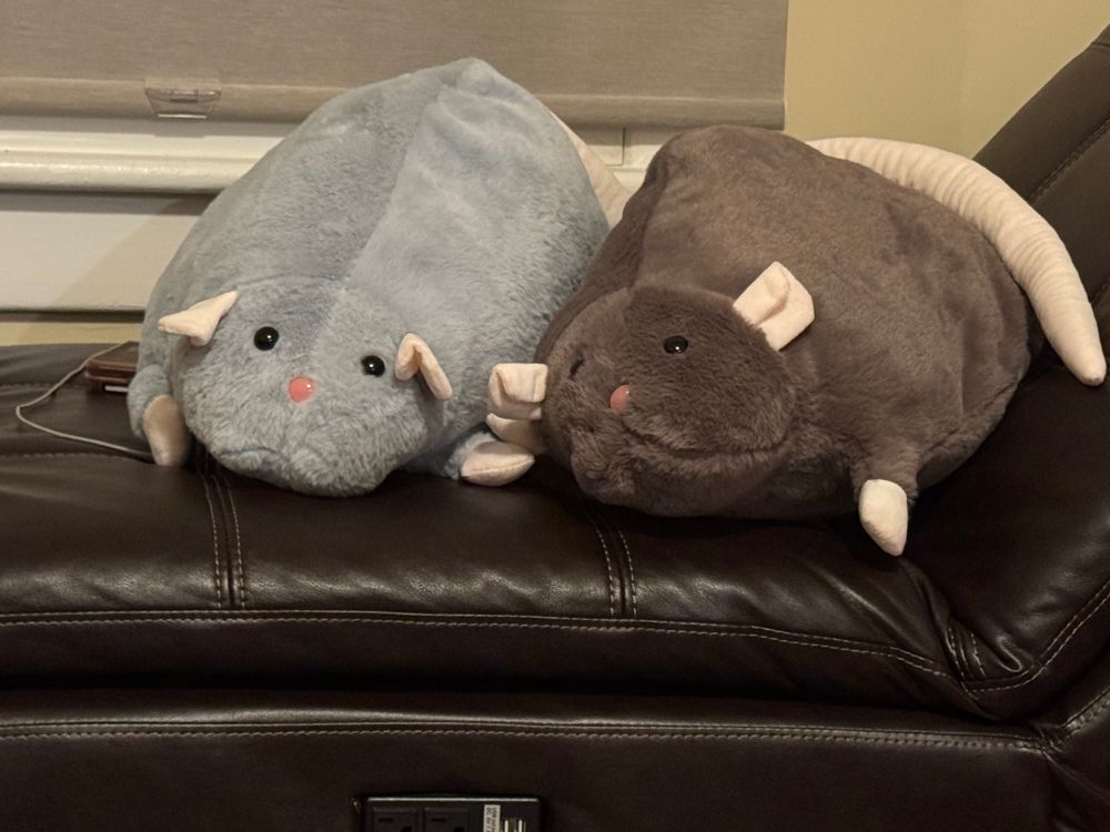 Two rat plushies, one grey and one brown, on a brown faux leather chaise lounge