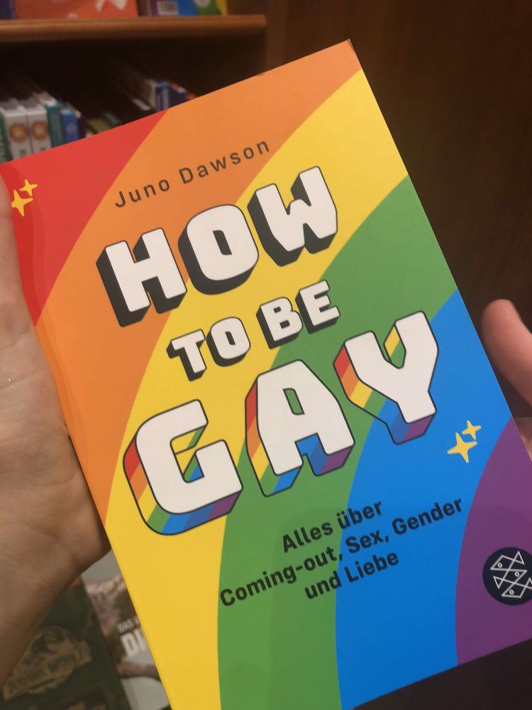 Buch ,,how to be gay“