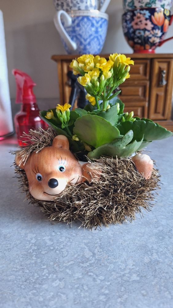 photo of a fuzzy hedgehog plant pot laying on its back smiling at the camera with real yellow flowers on its belly. its sitting on a grey counter top