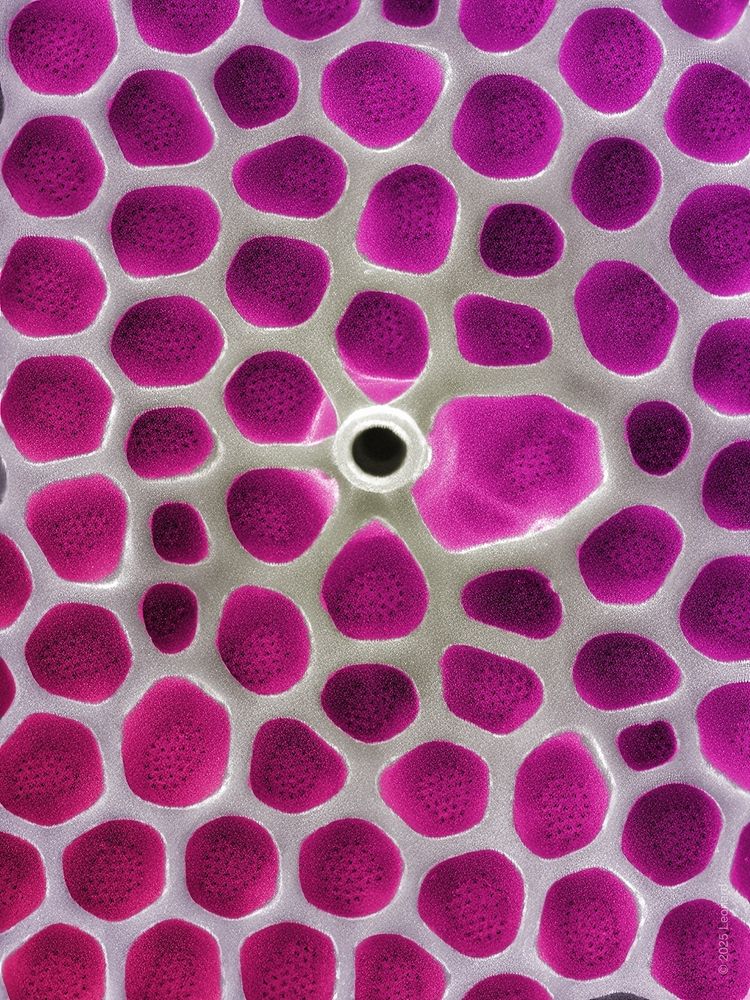 Honeycomb-like texture of Hudson River diagram, coloring hands with reds purples and hints of yellow.