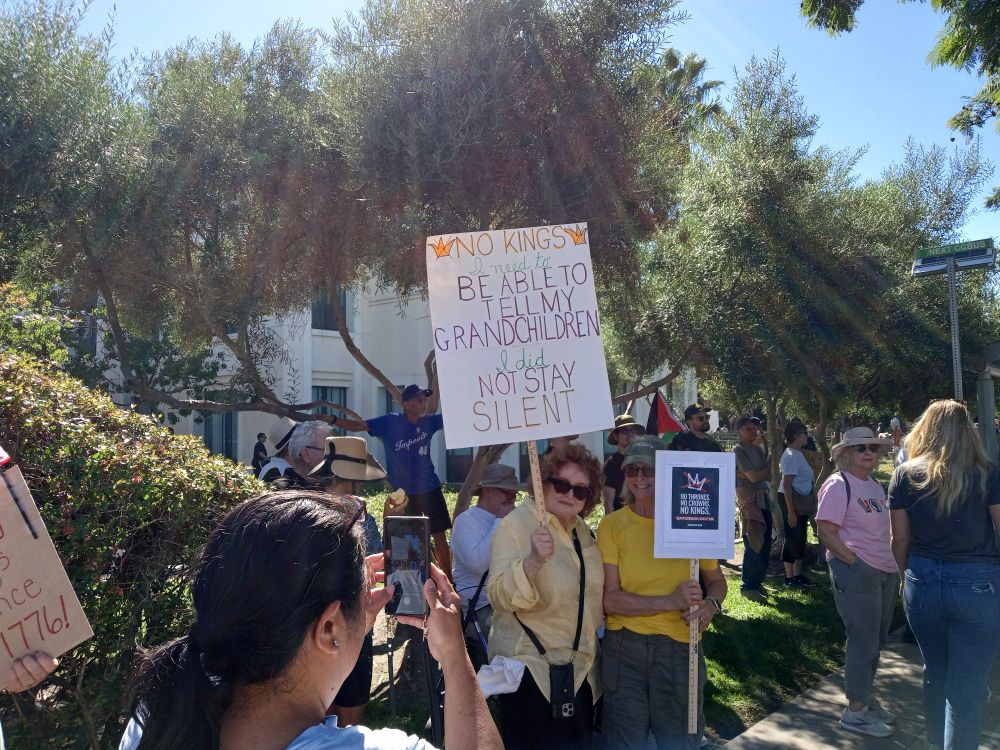 Signs at No Kings protest
