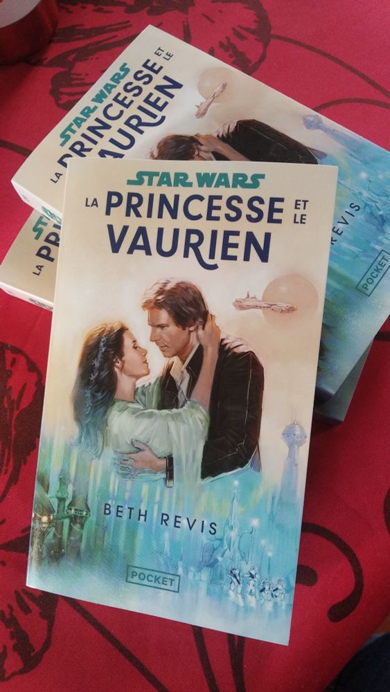 Couverture de La princesse & le vaurien