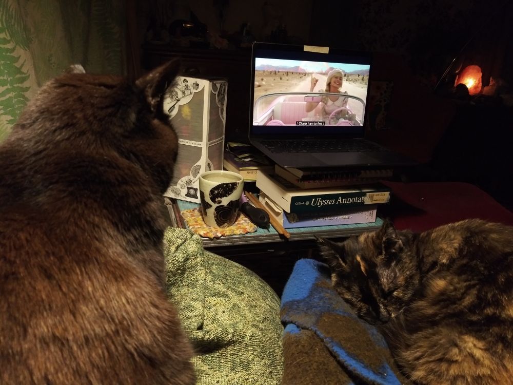 A black cat is watching Barbie and a tortoiseshell cat is curled up.