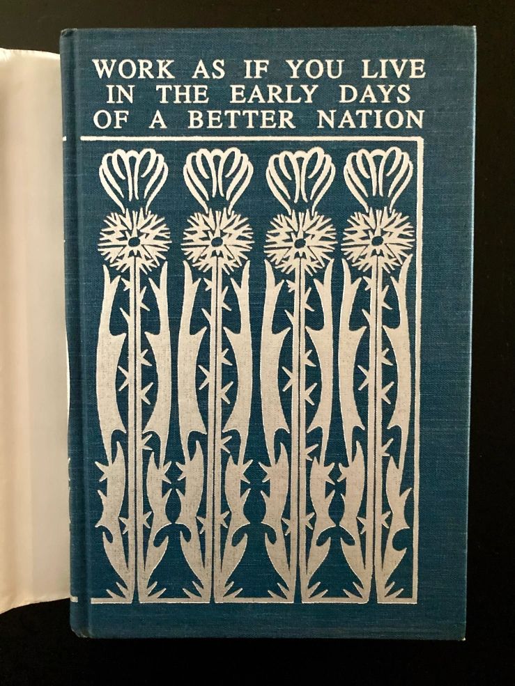 The image shows the front cover of a blue hardcover book with an intricate design and text. The top of the cover features white text in capital letters reading 'WORK AS IF YOU LIVE IN THE EARLY DAYS OF A BETTER NATION.' Below the text is a decorative pattern consisting of four stylized floral designs in white. Each flower has a prominent circular head with radiating lines inside, supported by a long, narrow stem adorned with symmetrical leaves. The floral pattern is framed by vertical rectangular boxes. The design covers the entire front cover, giving it an elegant and artistic appearance.