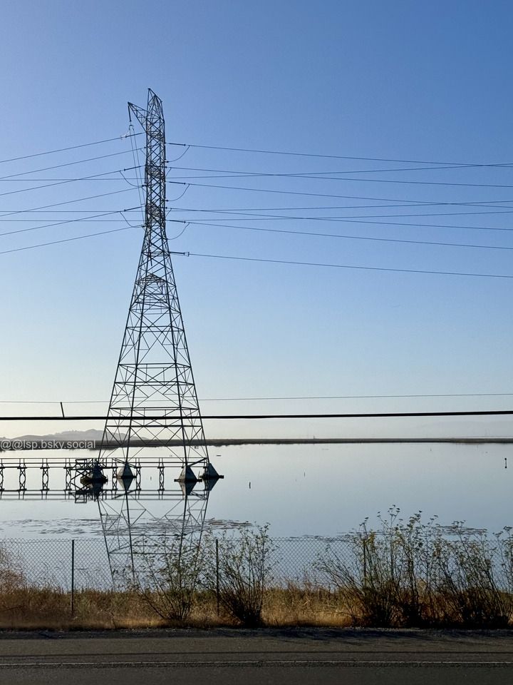 A photo taken from the San Mateo-Hayward bridge. The foreground shows the road and orange bushes. A pylon occupies the left side of the picture. The tranquil water is reflecting the blue sky and the pylon.