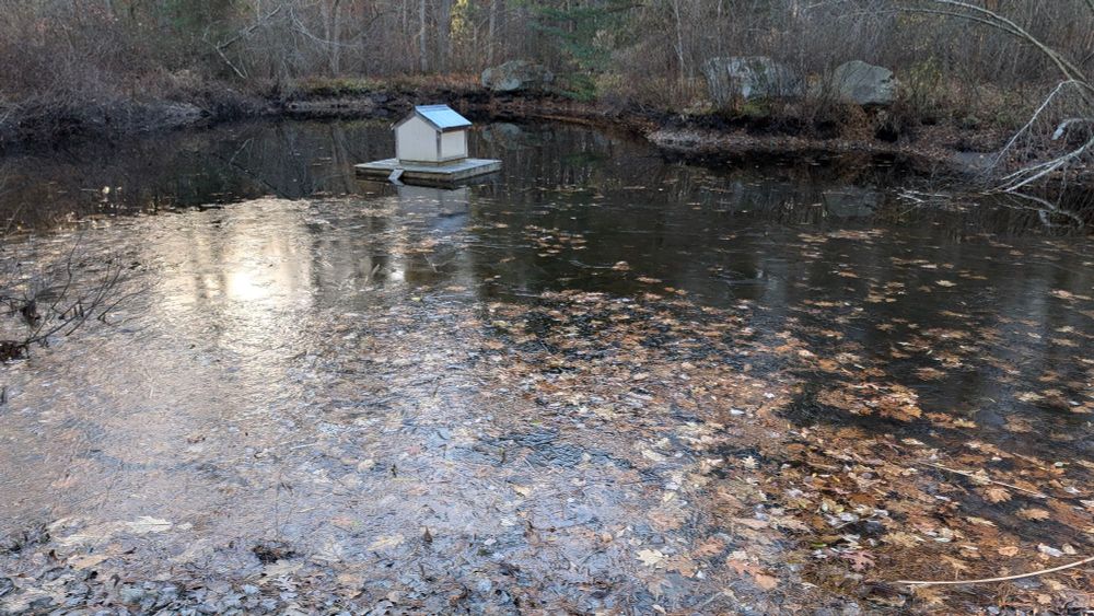 Picture of a 1/3 acre pond with 3-5 ft of earth showing above the water line that should be submerged. In the middle of the pond is a duck house.