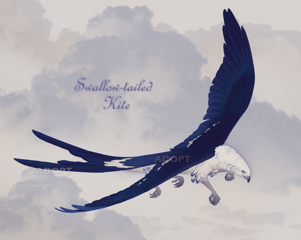 Sold griphon design based swallow-tailed kite. The reference with simple shades on the cloudy background.