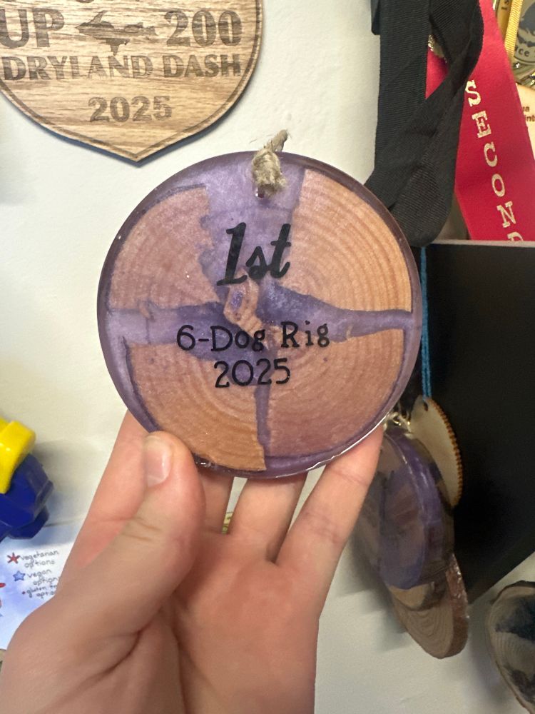 Image of a medal made out of wood covered in purple resin. It states “1st” then below “6-Dog Rig” and the bottom line reads “2025”