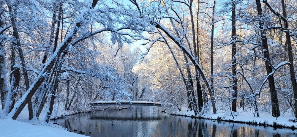 Photo of a river in winter