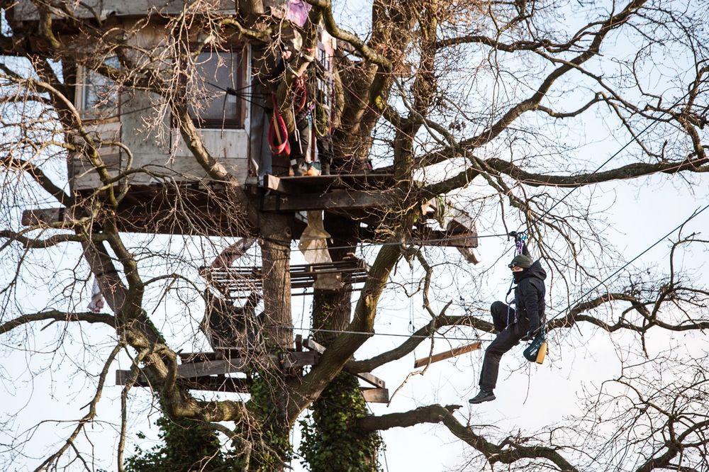 A small house built in the middle of a winter-bare tree, with a person in black suspended with climbing gear amongst its boughs.
