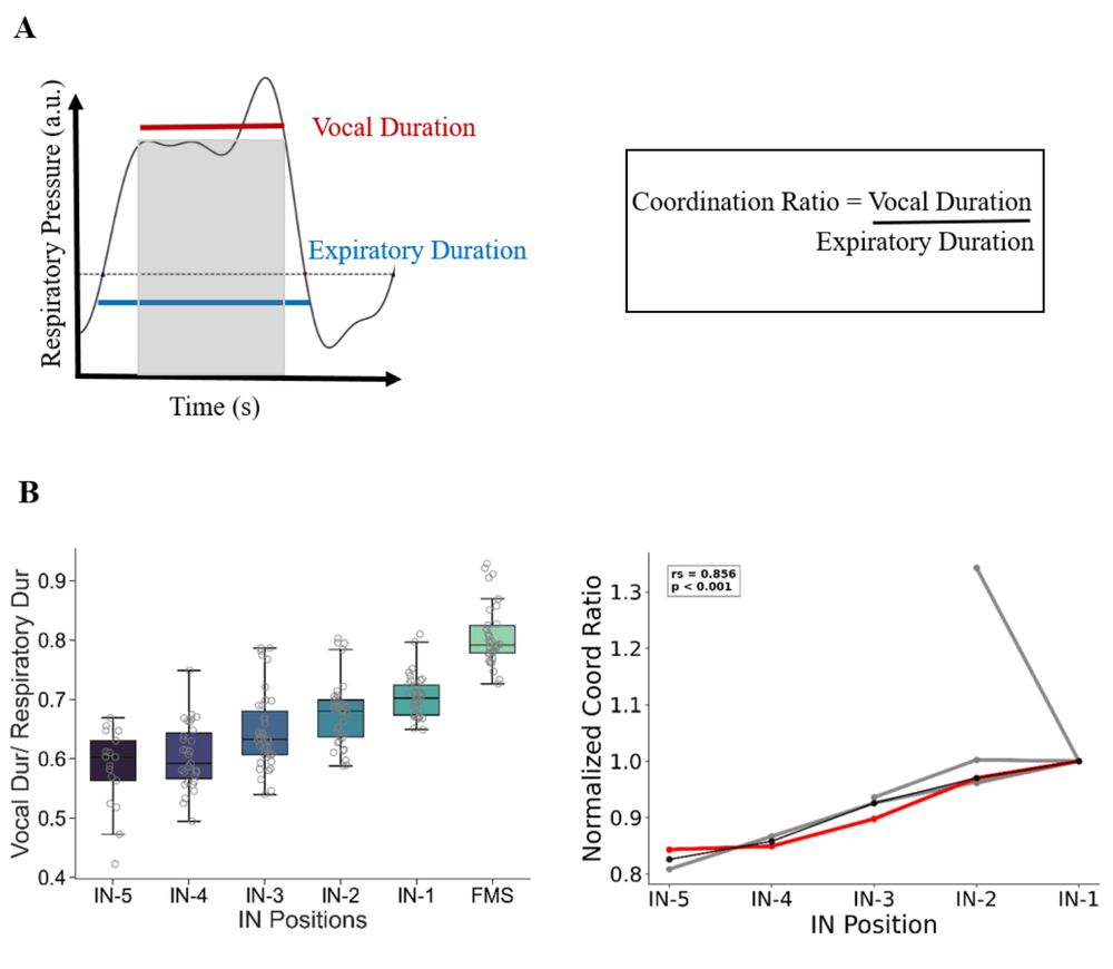 figure three of paper with four panels, first is schematic showing how they measure the coordination ratio as the vocal duration over the whole expiratory duration. second is box and whisker plot showing vocal duration over respiratory duration as a function of introductory notes position, this ratio increases as the position decreases, where a lower value of the intro note indicates it is closer to the start of the non-intro note song. This plot is for one example bird. Second panel on bottom shows line plots of the same results normalized within bird, for five birds. The trend holds across all five birds.