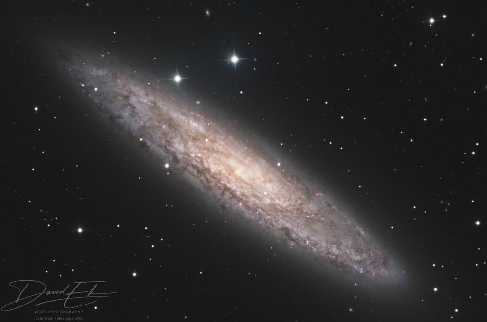 The Sculptor Galaxy is seen nearly edge-on so it appears as oval-shaped. Its center is bright and it has spiral arms that show dust and nebulosity.