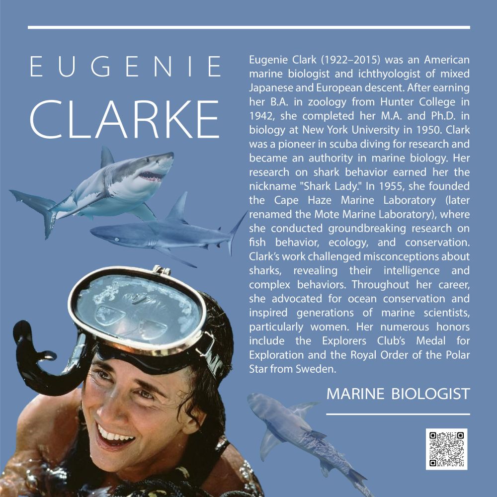 Eugenie Clark (1922-2015) was an American marine biologist and ichthyologist of mixed Japanese and European descent. After earning her B.A. in zoology from Hunter College in 1942, she completed her M.A. and Ph.D. in biology at New York University in 1950. Clark was a pioneer in scuba diving for research and became an authority in marine biology. Her research on shark behavior earned her the nickname "Shark Lady." In 1955, she founded the Cape Haze Marine Laboratory (later renamed the Mote Marine Laboratory), where she conducted groundbreaking research on fish behavior, ecology, and conservation. Clark's work challenged misconceptions about sharks, revealing their intelligence and complex behaviors. Throughout her career, she advocated for ocean conservation and inspired generations of marine scientists, particularly women. Her numerous honors include the Explorers Club's Medal for Exploration and the Royal Order of the Polar Star from Sweden.