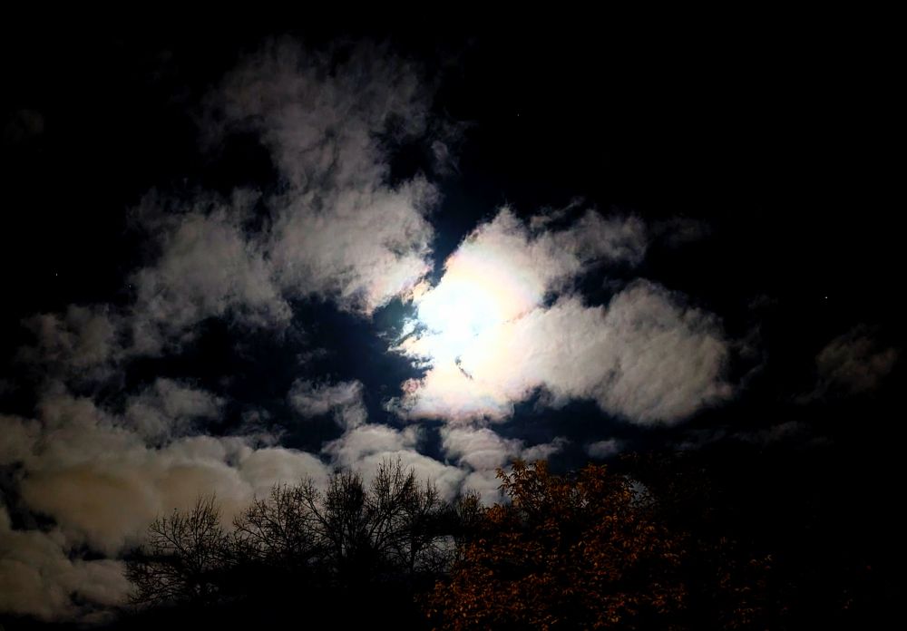 Nachtaufnahme. Unten ein wenig Baum. In der Mitte von Mond beleuchtete Wolken...