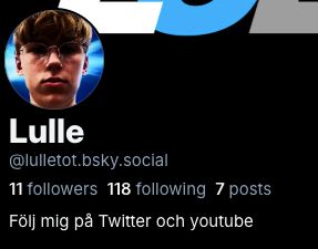 Konto @lulletot 