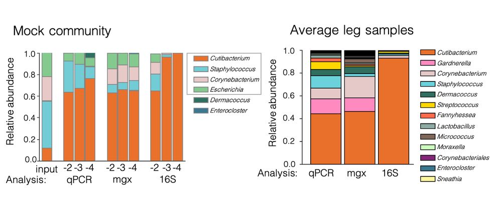 Left barplot shows that as mock community microbiome sample is diluted, qPCR and metagenomics continue to detect all taxa but 16S detects only Cutibacterium. Right barplot shows that for qPCR and metagenomics detect a diverse average microbiome from lower leg skin but 16S composition is dominated by Cutibacterium.