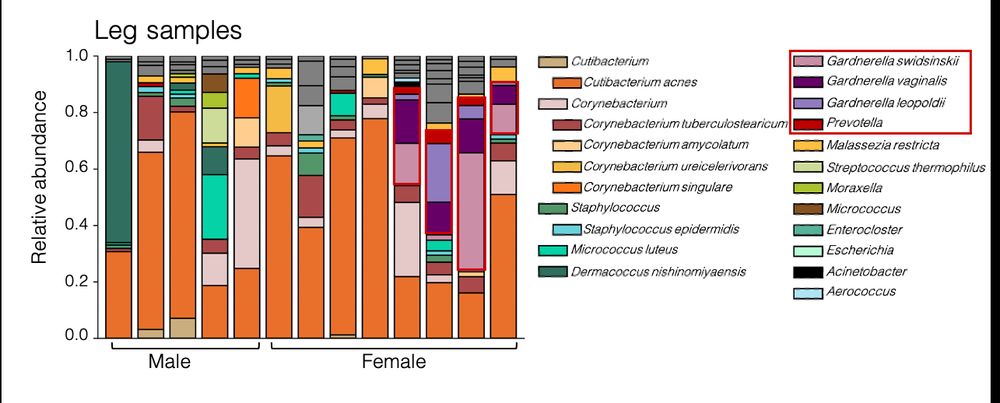 barplot of individual leg skin microbiome profiles demonstrates diverse composition across subjects including multiple species of Cutibacterium, Corynebacterium and Staphylococcus. 4/8 female subjects have multiple vaginal microbiome species including Gardnerella and Prevotella but not Lactobacillus present at >10% abundance. 