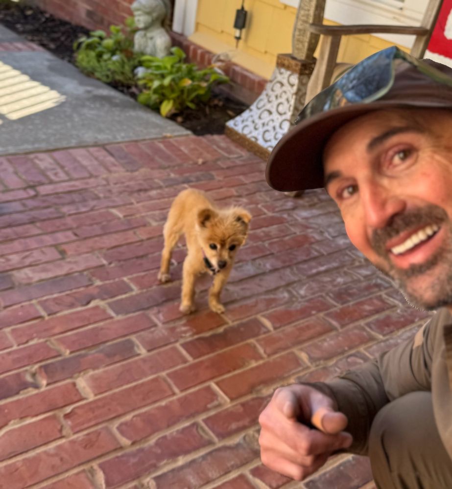 A sweet light-brown Pomeranian mix looking timidly at the handsome delivery while he takes selfie of the both of them