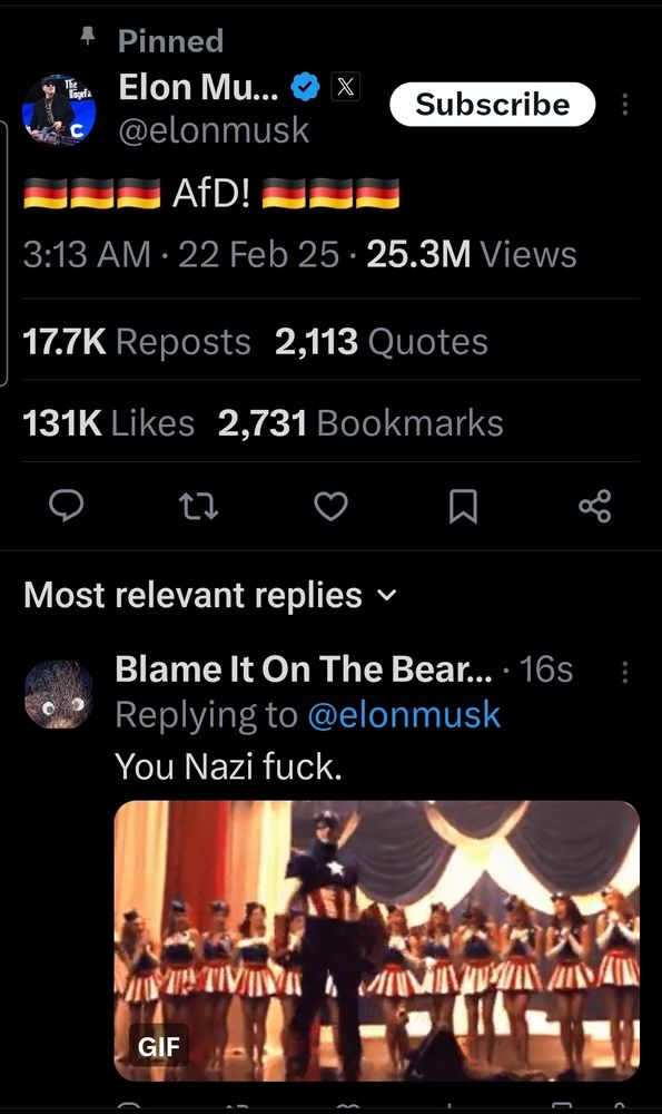 A Twitter post of Elon Musk showing his support for AfD, the new Nazi Party in Germany. 