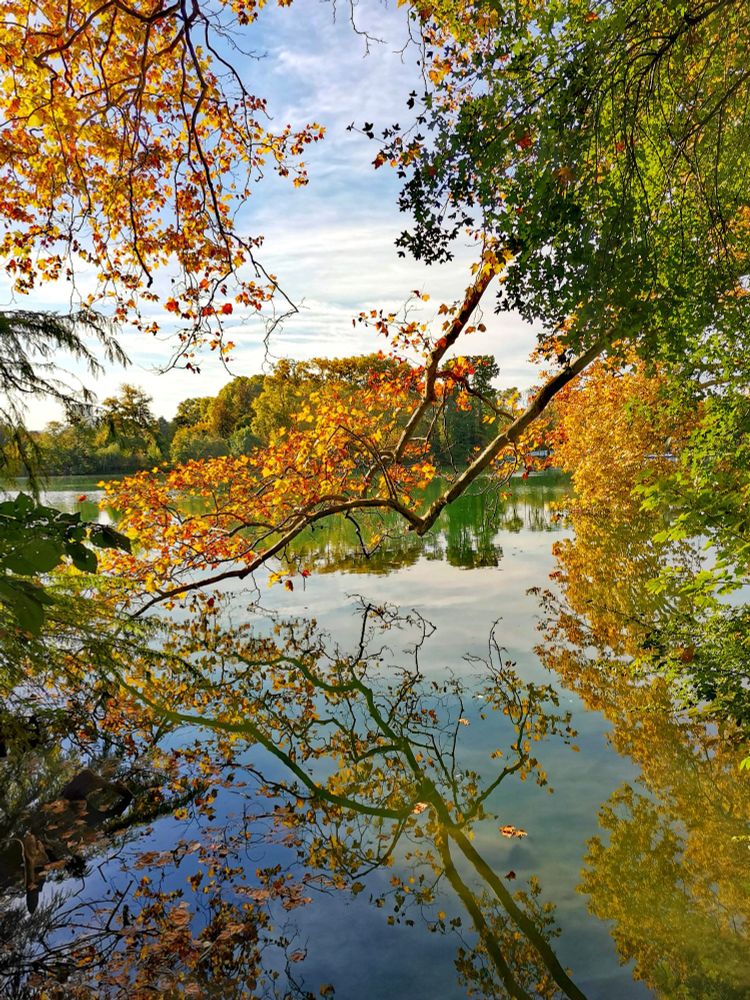 Vue sur le lac du parc au travers des branches parées de magnifiques feuilles de couleurs verte, jaune et rousse