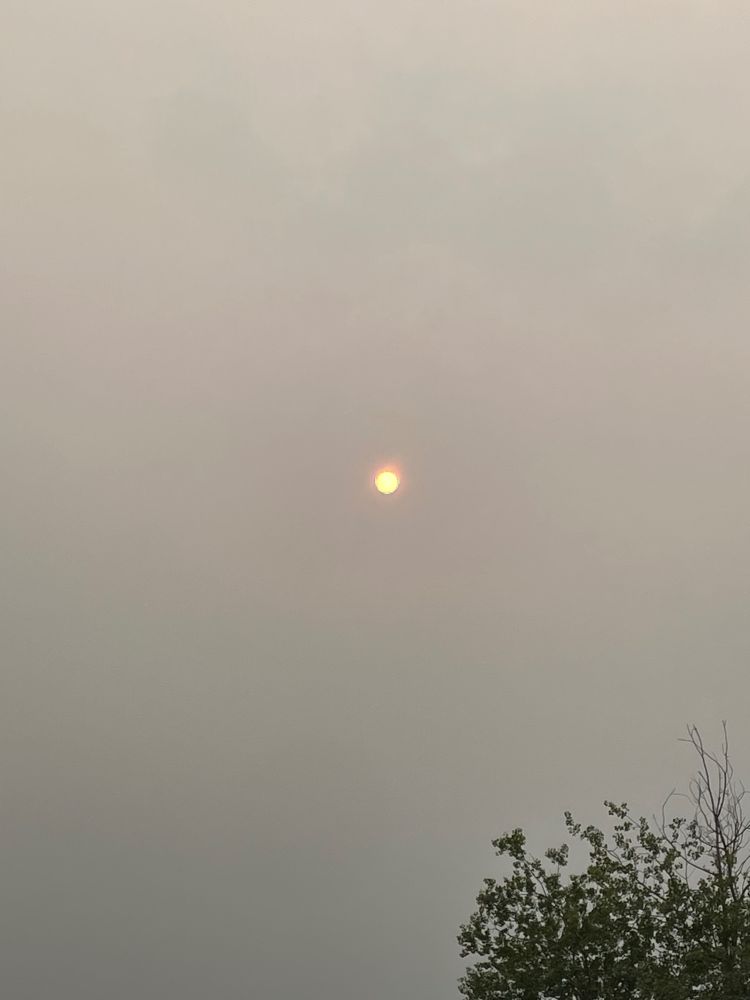 The sun is an intense dot of light in a wildfire grey smoke sky, the crown of a poplar tree intrudes in the lower right corner for perspective. 
