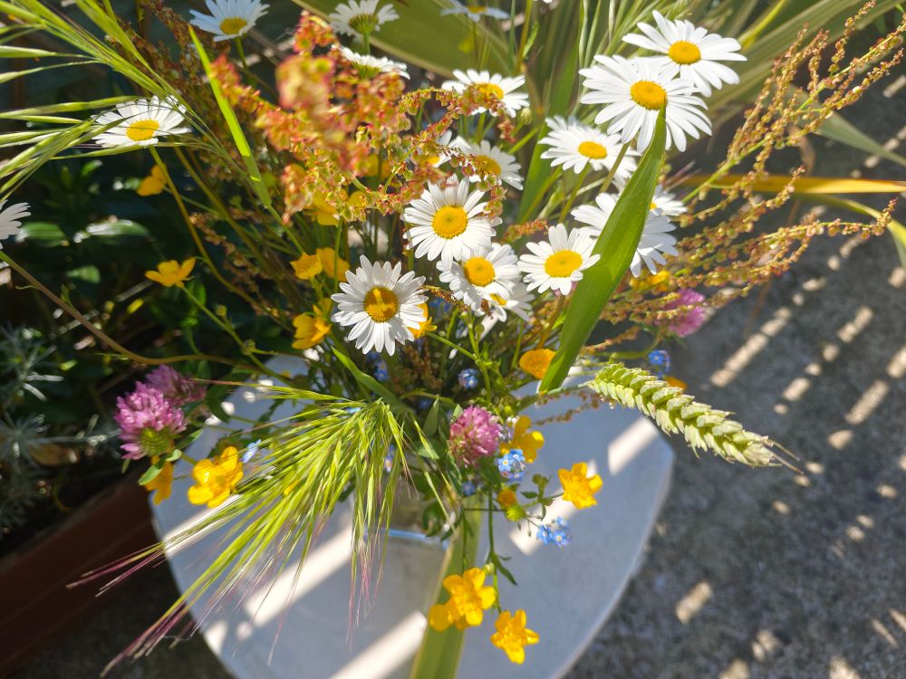 Photo of a bouquet of wild flowers.