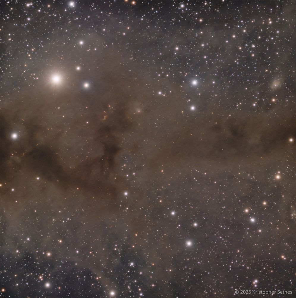 Image of part of the dark nebula, LDN1251.