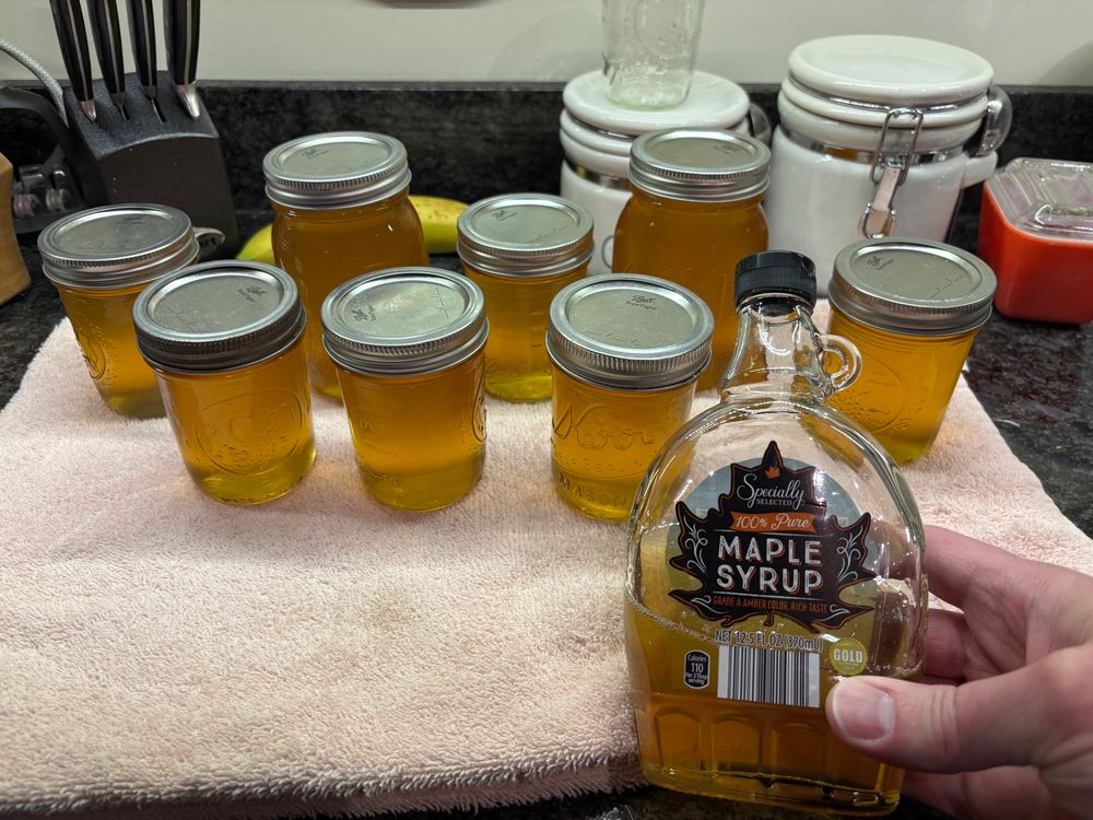 Finished maple syrup in jars after boiling and collecting for several days.